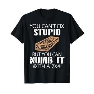 You Cant Fix Stupid But You Can Numb It With A 2X4 Funny T-Shirt